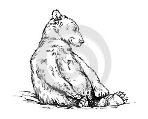 Black and white engrave isolated vector bear