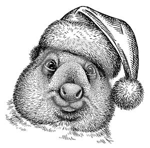 Black and white engrave isolated wombat illustration