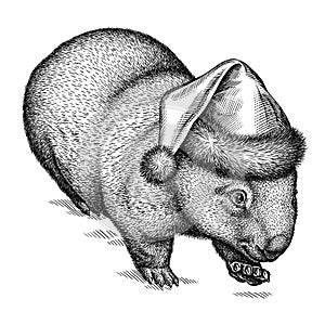 Black and white engrave isolated wombat illustration