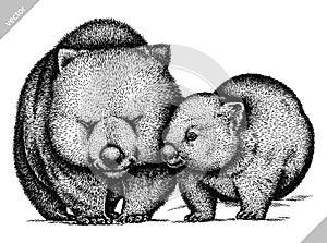 Black and white engrave isolated wombat vector illustration