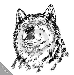 Black and white engrave wolf