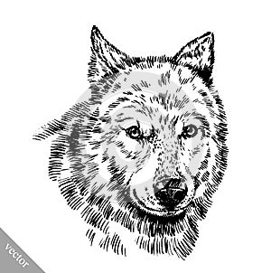 Black and white engrave wolf