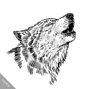 Black and white engrave wolf photo