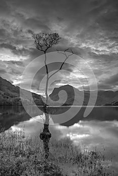 Black and white Epic Autumn sunrise landscape image of Buttermere in Lake District with dramatic stormy sky