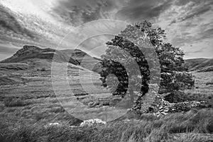 Black and white Evening landscape image of Llyn y Dywarchen lake