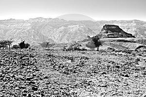 Black and white fantasies of the desert