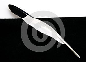 Black and White Feather