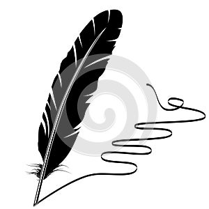 Black-and-white feather and flourish