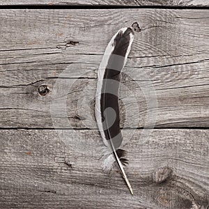 Black and white feather on wooden table background