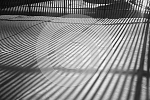 Black and white fence shadow on snow