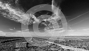 Black and white fine art picture of cut and baled alfalfa field under cirrus clouds in the Central Valley of California USA