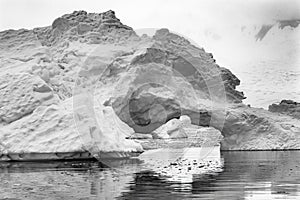 Black White Floating Blue Iceberg Arch Reflection Paradise Bay Skintorp Cove Antarctica