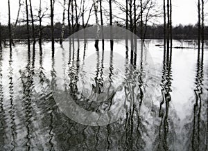 Black and white flooded landscape