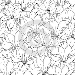 Black and white floral background of magnolia and lily flowers, hand-drawn vector seamless pattern