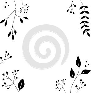 Black and White Floral Boarders photo