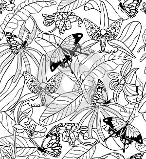 Black and white floral exotic seamless pattern. Exotic tropical flowers orchids and butterflies. Vector illustration. Flower