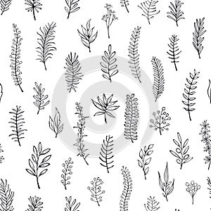 Black and white floral hand drawn outlined twigs branches seamless pattern swatch