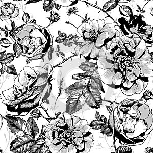 Black and White Floral Seamless Background photo