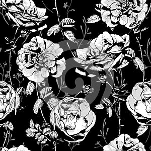 Black and White Floral Seamless Background