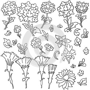 Black and white floral seamless sketch pattern