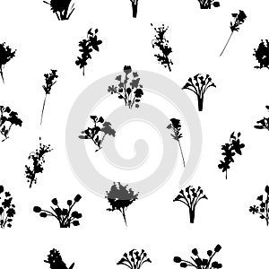 Black and White Florals Seamless Pattern photo