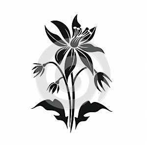Black And White Flower: Aubrey Beardsley Style Stencil Art And Himalayan Inspired Design