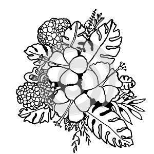Black and white flower blooming pattern for coloring book. Doodle floral drawing style