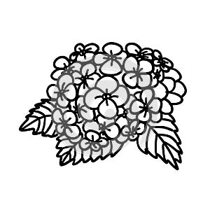 Black and white flower. Plant in outline doodle style. Hand drawn simple vector illustration