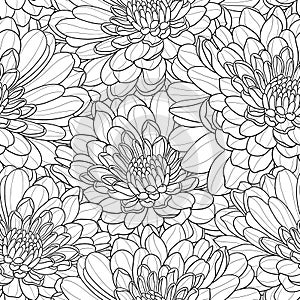 Black and white flower seamless hand drawn vector background