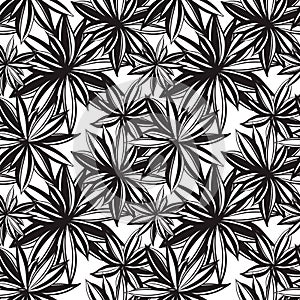 Black and white flowers background