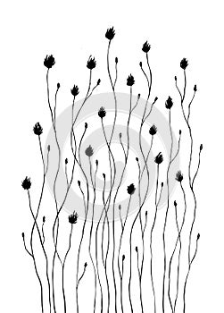Black and white flowers pattern isolated