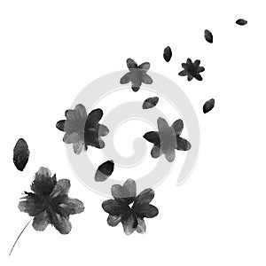 Black and White flowers and petals of set. Hand drawn leaf silhouettes with scribble textures. Natural elements in