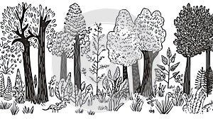Whimsical Black and White Forest Nature Sketch Trees and Plants