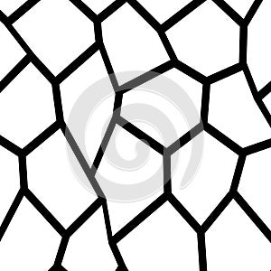 Black and White Fragmentation Background