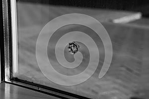 Black and white glass with bullet hole