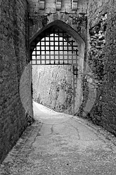 Black and White Gothic Door