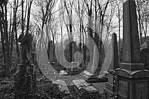 Black and white graves Highgate Cemetery