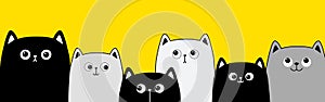 Black white gray cat face head set. Cats kittens family. Line banner. Cute cartoon funny character. Contour doodle. Pet baby