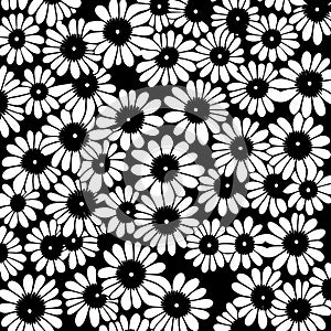 Black and White Groovy Daisy Flowers