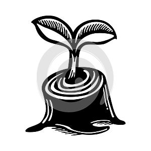 Black and white growing plant vector logo icon