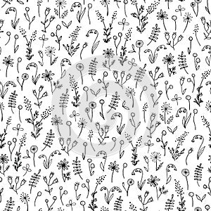 Black and White Hand Drawn Doodle Floral Vector Seamless Pattern. Cute Meadow Flowers. Line Drawing
