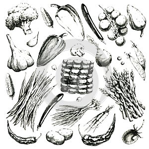 Black-white hand-drawn set of vegetables. Jpeg photo