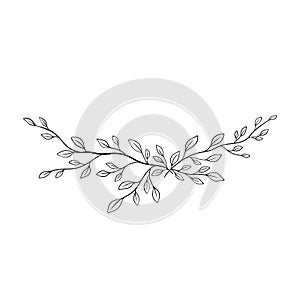 Black on white Hand drawn vector Branch with leaves. Floral simple illustration. Botanical ink contour. Minimalism line