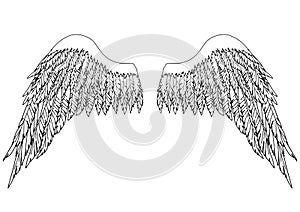 Black and white hand-drawn wings