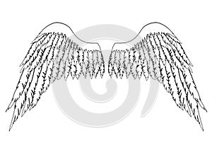 Black and white hand-drawn wings