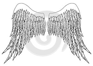 Black and white hand-drawn wings