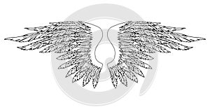 Black and white hand-drawn wings