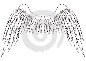 Black and white hand-drawn wings