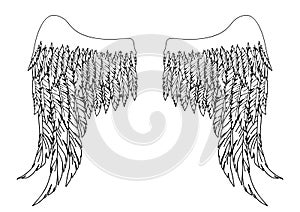 Black and white hand-drawn wings