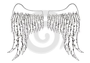 Black and white hand-drawn wings